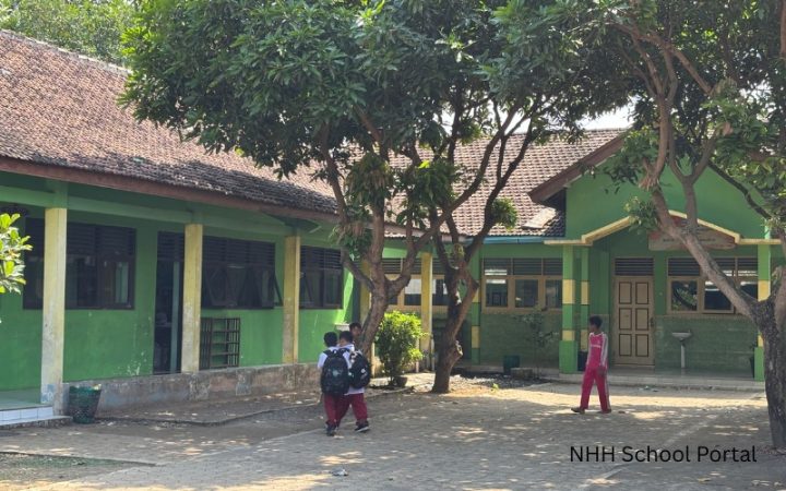 Kế hoạch tổ chức ôn tập hè
